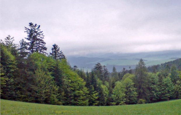 #pieniny #góry