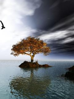 #drzewo #niebo