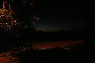 nocny spacer #Morzewiec #ZdjęciaNocne