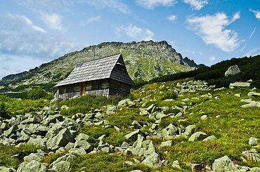 W Dolinie pieciu stawow, jedna z najpiekniejszych dolin w Tatrach:) #tatry #gory #evasaltarski