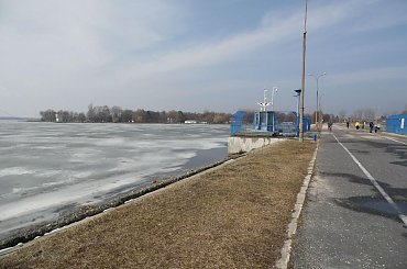 #lublin #ślimak #magooka #żaba #zwierzęta #samsung