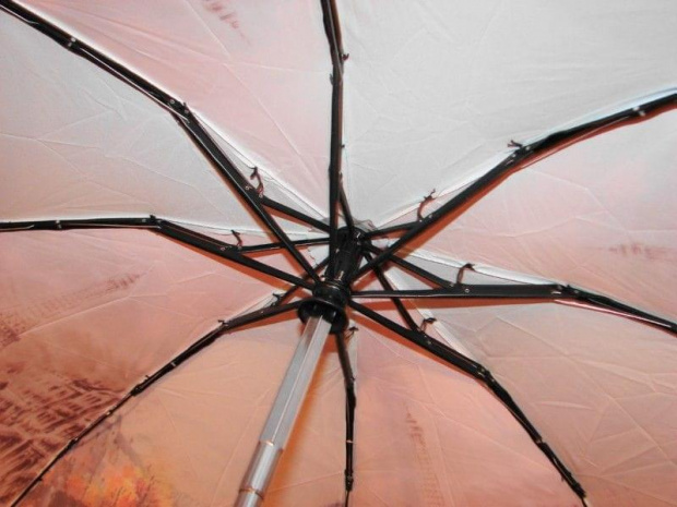 zest foto parasol paryż