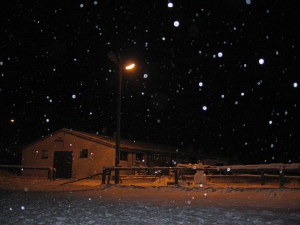 Stajnia zimowo 2009.02.17