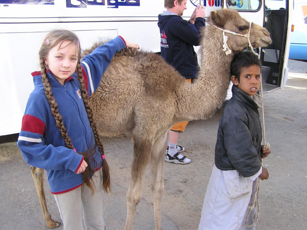 W drodze do Asuanu - młodzi przedstawiciele gatunku ludzkiego i wielbłądziego :-) #Egipt #Nubia #zwiedzanie #egzotyczne #wielbłąd