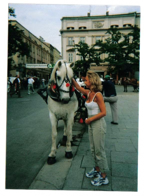 W Krakowie z konikiem #koń #konie #Kraków