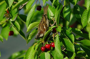 Plener przyrodniczy/krajoznawczy #dzikość #fauna #flora #kolory #makro #natura #owady #przyroda #ptaki #zbliżenie #zwierzaki #zwierzęta