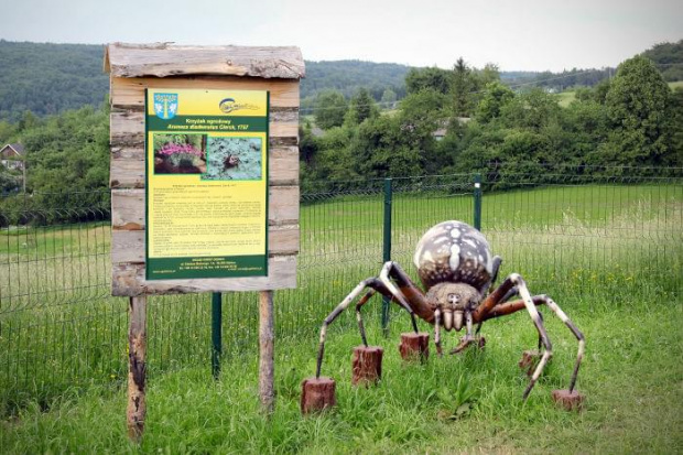 Park owadów - Stobierna