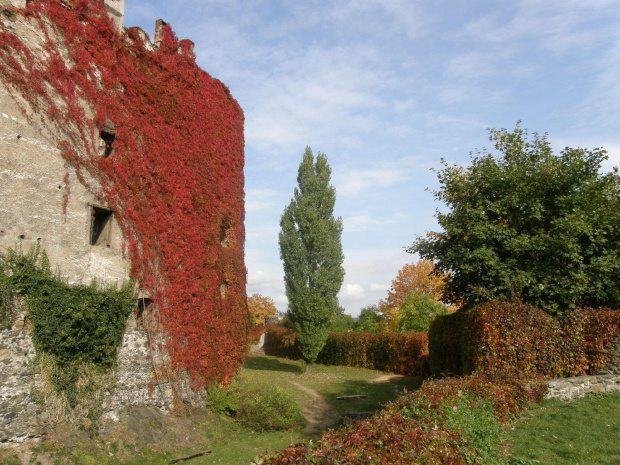 zamek Bolków w jesiennym klimacie #zamek #Bolków #jesień