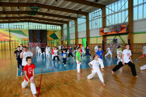 Taekwondo Camp Puck 2013 #tkd #taekwondo #wtf #arcus #koryo