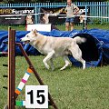 PP Agility Białystok 22.07.2007