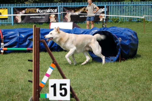 PP Agility Białystok 22.07.2007