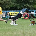 PP Agility Białystok 22.07.2007