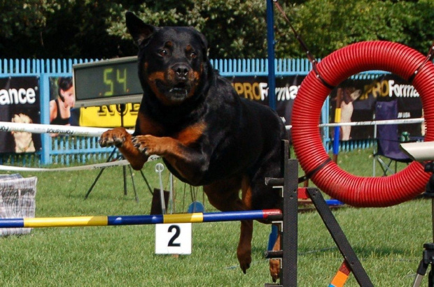 PP Agility Białystok 22.07.2007