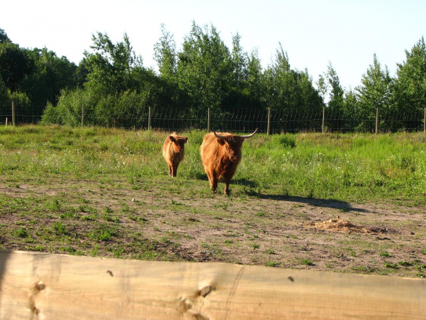 Mrągowo - lipiec 2008