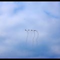 International Air Show Portrush 2007
08/09/2007 #airshow #samolot #akrobacje #Portrush