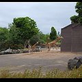 Belfast Zoo - 07/06/2008