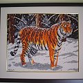 Tygrys Syberyjski. #DzikiKot #las #noc #snieg #tygrys #zwierzeta