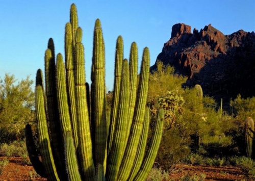 California and Arizona #usa #california #arizona #road