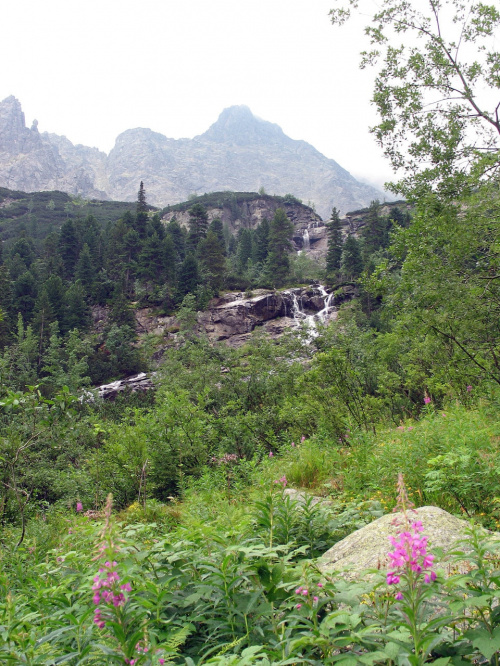 #Tatry #góry #natura #turystyka #szlak