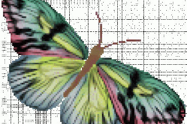 Brokaty Motylki #Motylki