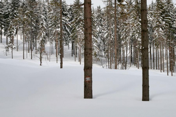 Szlak był dziewiczy, a śniegu po pas #góry